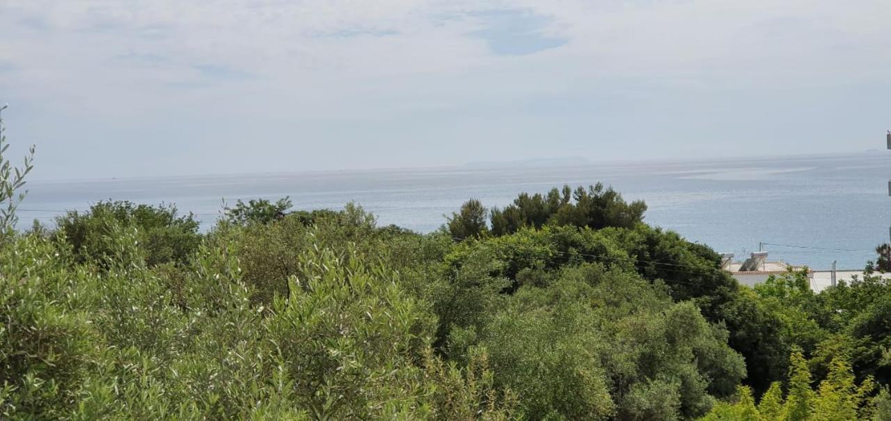 Seaview Apartment Borsh Bagian luar foto